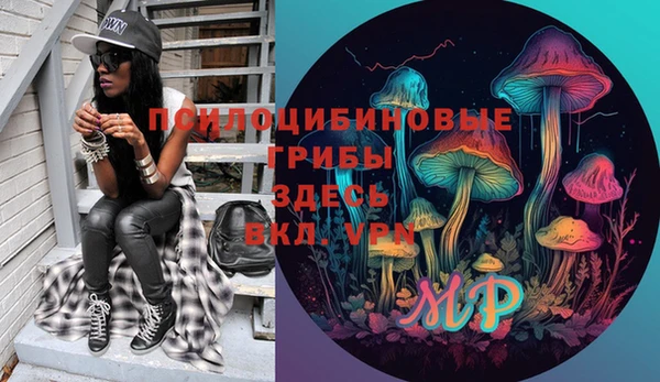 шишки Абинск
