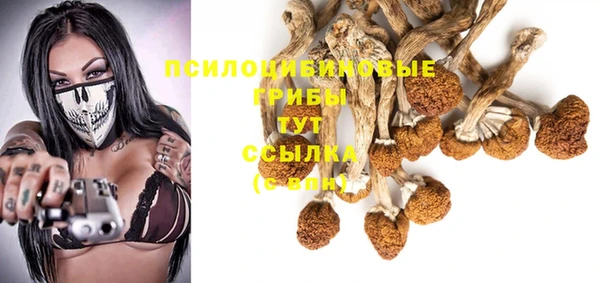 шишки Абинск