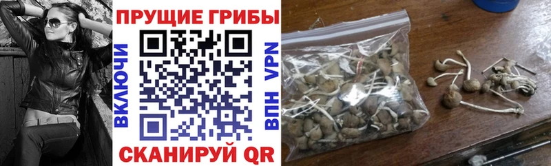 Псилоцибиновые грибы ЛСД  Отрадное 
