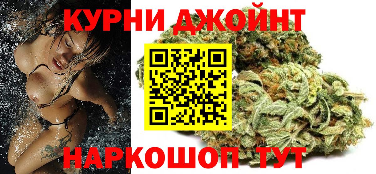 Шишки марихуана планчик Отрадное